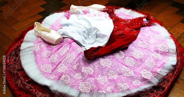 Obraz Figurino de Ballet