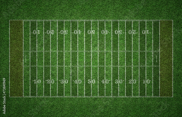 Fototapeta American Football Field on Grass