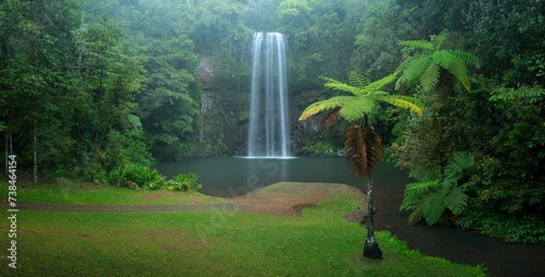 Obraz Millaa Millaa Falls