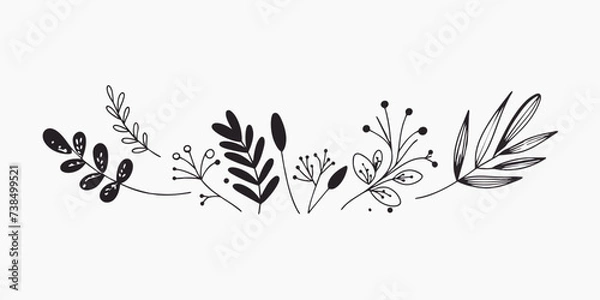 Fototapeta Trendy flowers for  decorations. Hand drawn line wedding decoraton, elegant leaves for invitation save the date card. Botanical rustic trendy greenery