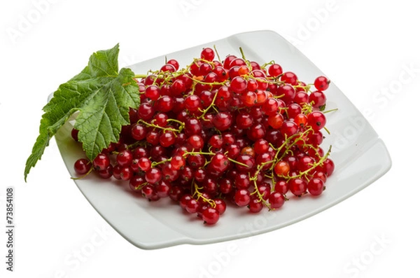 Fototapeta Red currant