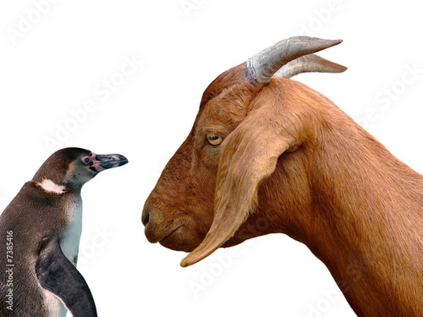 Obraz Unter vier Augen