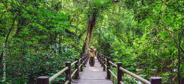 Obraz The Girl walking in the bridge and enjoying the tourism in through the mangrove forest. Waterfall Than Bok Khorani Nature Trail. Krabi, relax, travel, backpack, nature, Tourism, countryside.