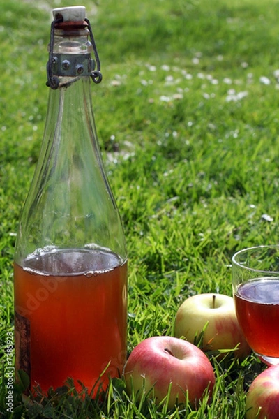 Fototapeta cidre fermier