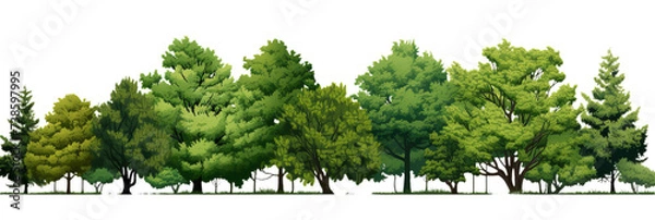 Fototapeta Illustration of the cartoons different trees on the transparent background
