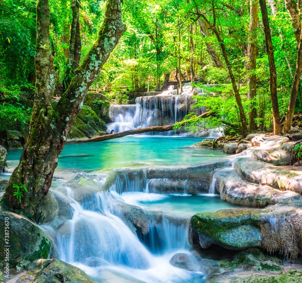 Fototapeta Fajny wodospad w głębokim lesie