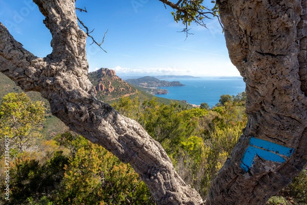 Fototapeta Massif de l'Esterel 