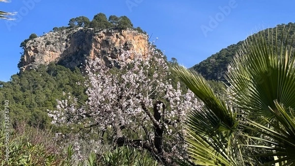 Obraz landscape with sky and clouds