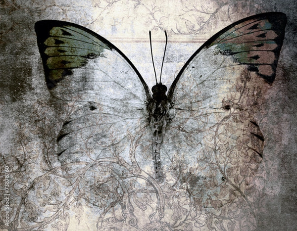 Obraz motyl