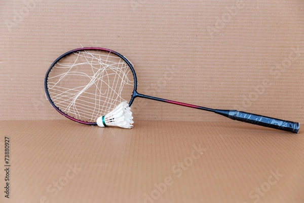 Obraz Shuttlecock and broken badminton racket