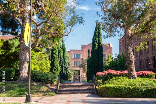 Fototapeta University of California, Los Angeles