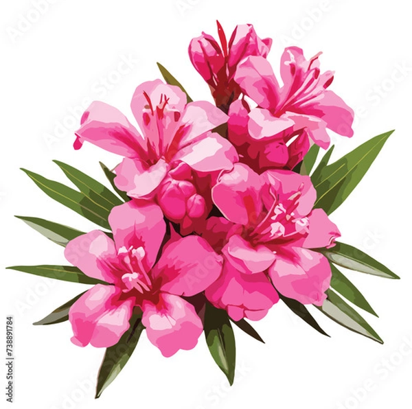 Fototapeta bouquet of  hot pink color Azalea  flower vector artwork 