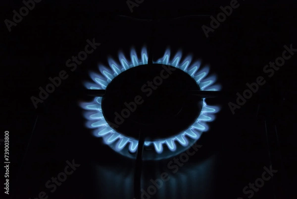 Fototapeta Close-up of a gas stove burner with a vibrant blue flame in a dark setting; concept of cooking, energy, and natural gas.
