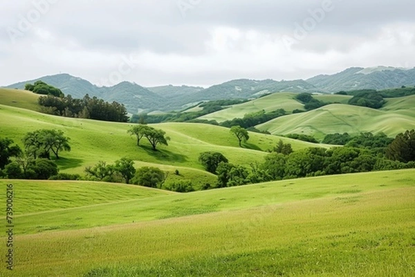 Obraz Countryside with rolling hills background . 