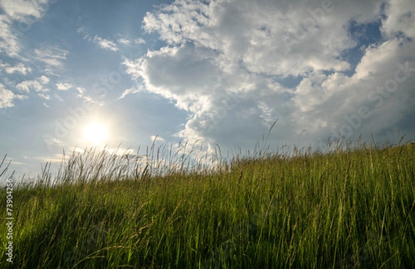 Fototapeta Cloud field
