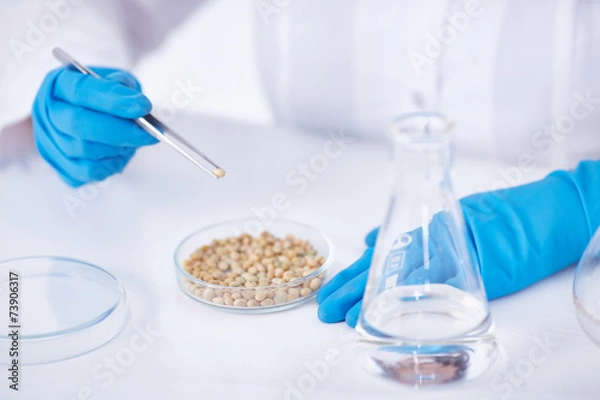 Obraz Scientist in Laboratory