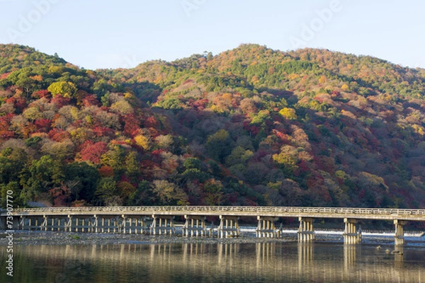 Obraz 京都嵐山の秋