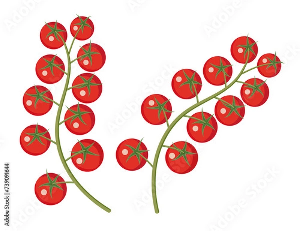 Fototapeta Sprig - ripe red cherry tomatoes. For printing and website decoration. Flat design.