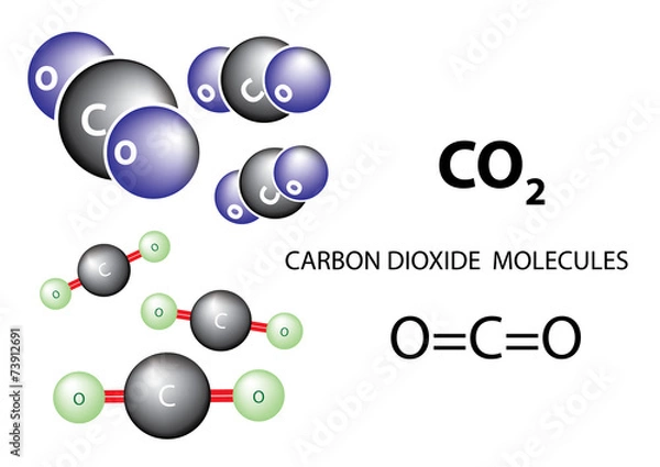 Obraz Carbon dioxide molecules