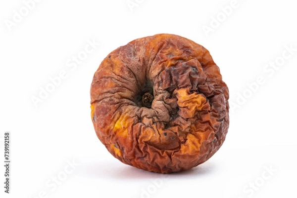 Obraz Verrotteter Apfel