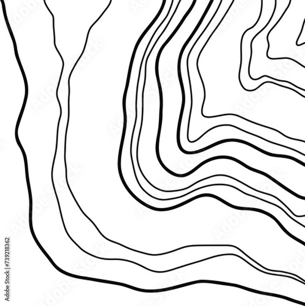 Obraz Topographic Map Lines