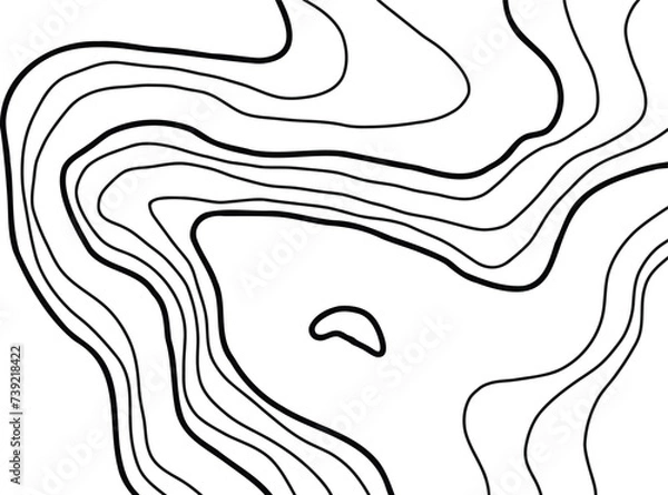 Obraz Topographic Map Lines
