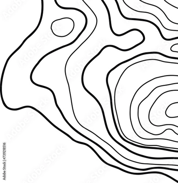 Obraz Topographic Map Lines