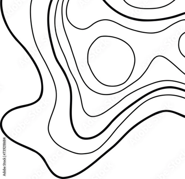 Obraz Topographic Map Lines