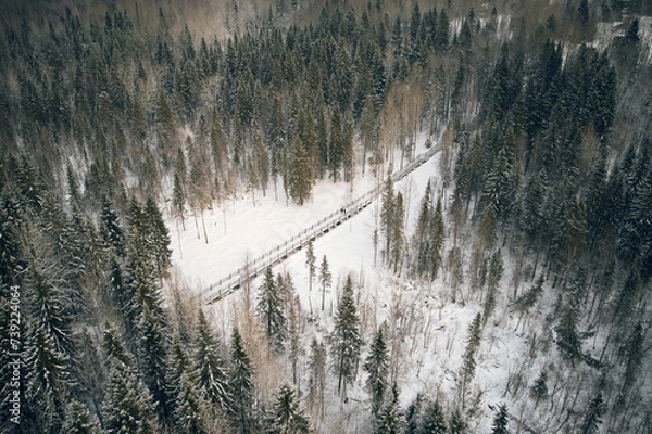Obraz Trail in the winter forest