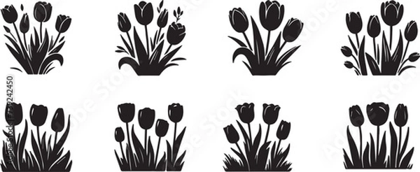 Fototapeta Tulips, black silhouette on a transparent background spring flowers vector set for stencil, engraving, printing
