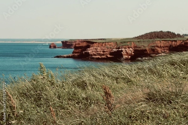 Obraz ocean and cliff view