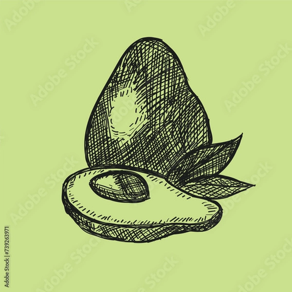 Fototapeta Avocado sketch, Avocado t shirt design ,Avocado drawingAvocado berry vegetable sketch raster illustration