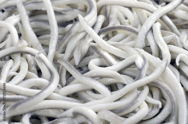 Obraz Cooked baby eel.