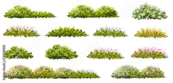 Fototapeta Vertor set of spring blossom tree,bloomimg plants side view for landscape elevation and section,eco environment concept design,watercolor illustration,colorful season