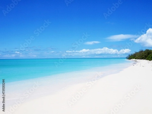 Fototapeta ニューカレドニアのウベア島の海とビーチ