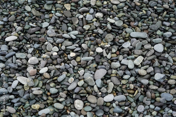 Fototapeta 小田原 御幸の浜 砂浜 浜辺の小石