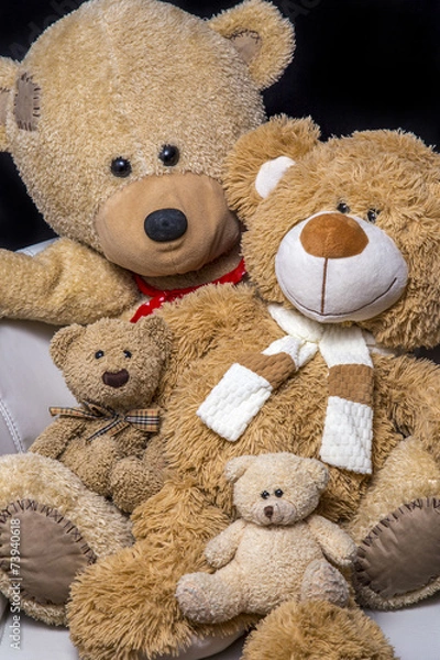 Obraz Teddy bear family