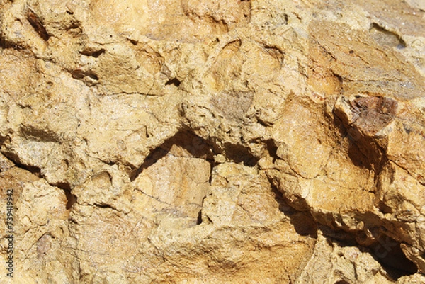 Fototapeta Bird Perched on Rock
