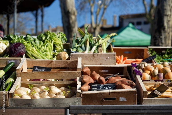Obraz Légumes sur un étale de marcher 