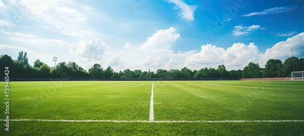Fototapeta Empty football field at daylight