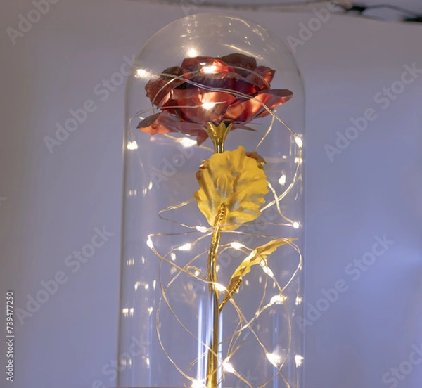 Obraz Eternal illuminated rose