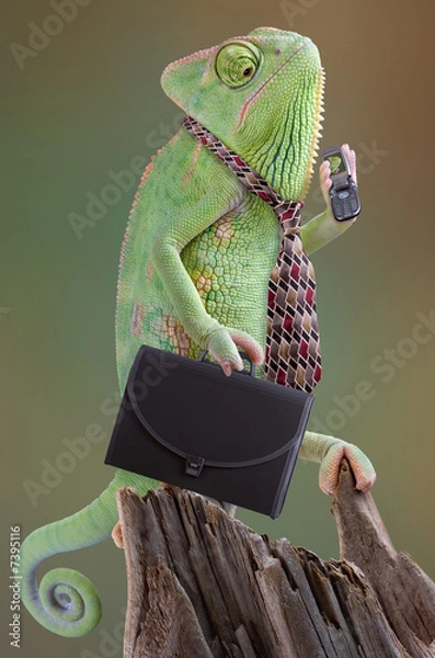 Obraz Chameleon Businessman