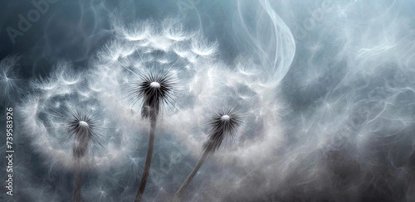 Obraz Abstrakcyjne kwiaty dmuchawce