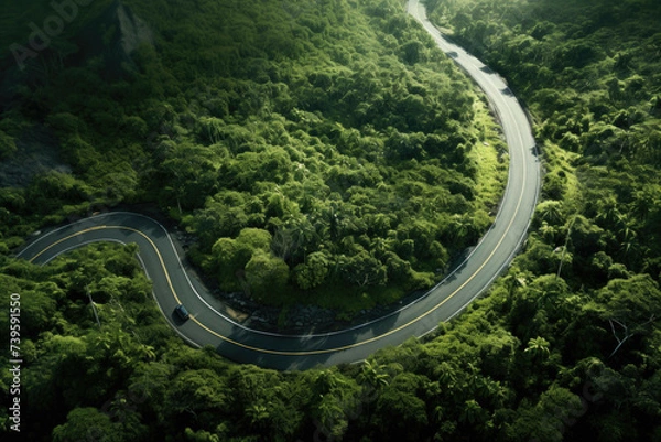 Fototapeta aerial drone shot of road winding through a lush tropical forest