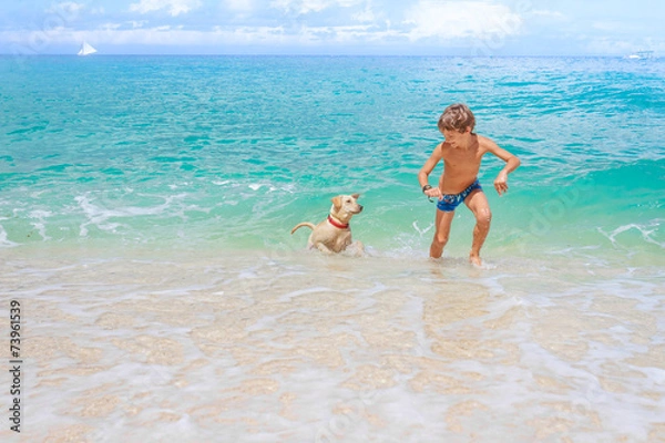 Fototapeta young happy child boy having fun with white dog in the sea, summ