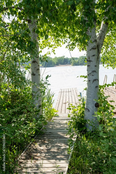 Obraz path in the park