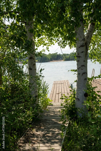 Obraz bridge over the river