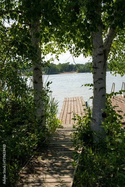 Obraz bridge over the river
