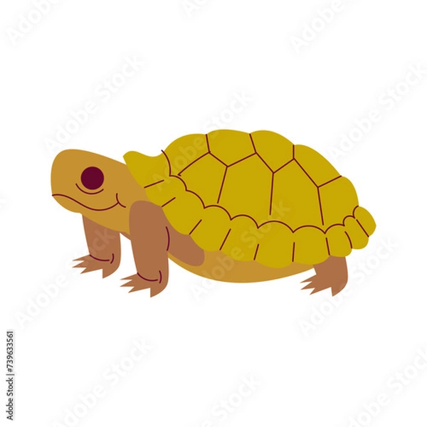 Obraz Tortoise Cartoon Style Illustration