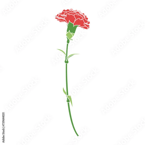 Fototapeta 一輪のカーネーションのイラスト、アイコン　ベクター	